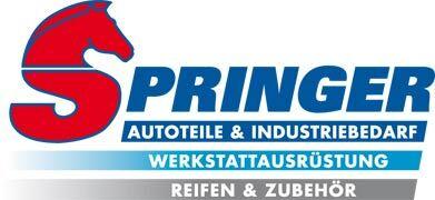 springer Logotyp